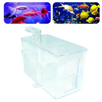 Ящик для разведения рыб, 2 отделения, Ящик для разведения аквариумных рыб, защита от трещин, Отличная защита молоди рыбок